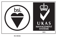 BSI Logo